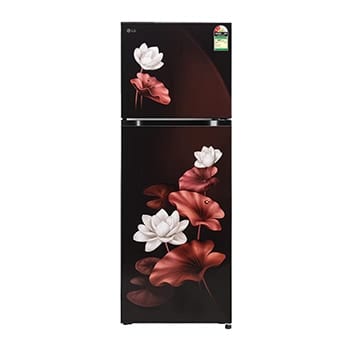 Lg Ref Glt2526xwsl.dslzebn