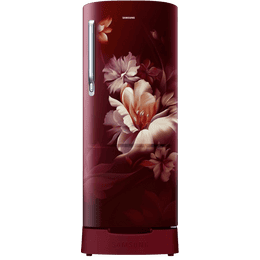 Samsung Ref Rr20d1823rz/hl