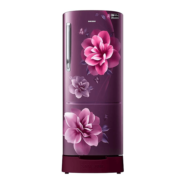 Samsung Ref Rr20c1823cr/hl