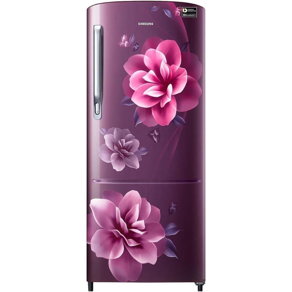 Samsung Ref Rr20c2723cr/nl